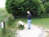 Studying the info plaque