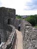 oncastlewall.jpg
