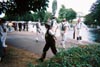 morris8.jpg