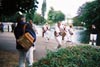musicalmorrismen.jpg