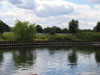 reflectionsonthethames.jpg