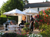 rosesonthepatio.jpg