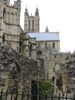 canterburycathedralfromgarden.jpg