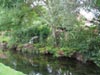riverscene.jpg