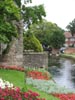 summerflowersincanterbury.jpg