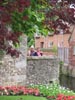 thecanalinbloom.jpg