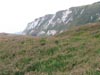 whitecliffs2.jpg