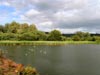 heritagewetland.jpg