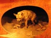 hyenasusedtoroamhere.jpg