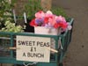 sidewalkflowersales.jpg