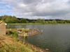 wetlands.jpg
