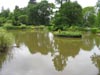bigpondwisleygardens.jpg