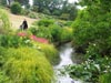 streamwisleygardens.jpg