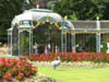 aviary.jpg