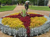 colourfulplantarrangement.jpg