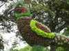 flowerbird.jpg