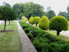 hedgesatwaddesdon.jpg