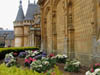 hydrangeasatwaddesdon.jpg