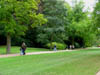 lawnatwaddesdon.jpg