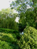 viewfrombridge.jpg