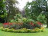 viewofdahliabedwaddesdon.jpg