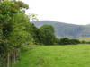 anothercountryview.jpg