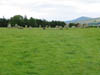 anotherviewofcastlerigg.jpg