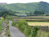 laneatcastlerigg.jpg