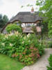 anotherviewofhoneysucklecottage.jpg