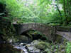 bridgeoverwaterfall.jpg