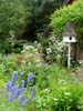 dovecoteatahoneysucklecottage.jpg