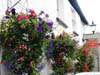 hangingbaskets.jpg