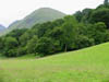 hillview1.jpg