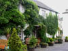 housecoveredinundergrowth.jpg