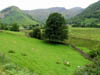 lakelandview1.jpg