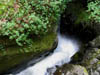 lookingoverthefalls2.jpg