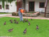 meganandducks1.jpg