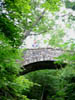 meganonbridge.jpg