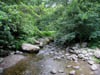 riveratwaterfall.jpg