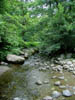 riveratwaterfall1.jpg