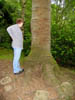 thestockngtree.jpg
