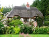 viewofhoneysucklecottage.jpg
