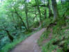 walkingalongthepath.jpg