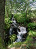 anotherwaterfallatmill.jpg