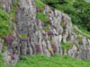 zoomviewofheather.jpg