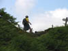 meganadmiringviewfromthetop.jpg
