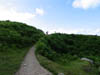 meganttoopofhill.jpg