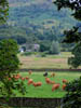 viewofframerscowmeadow.jpg