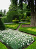 flowerbed.jpg