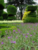 generalviewoftopiarygarden.jpg